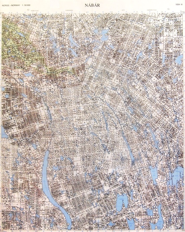 Appropriation (Maurienne) / 40x50cm / dessin à l'encre sur polyester, carte / ink drawing on polyester, map